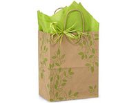 Shopping Gift Bag 25 Count - Ivy Lane - Cub