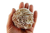 Set of 5 (Five) Raw Selenite Crystal Desert Rose Stones - Spiritual Metaphysical Healing and Enhancement w/Certificate of Authenticity Beverly Oaks Exclusive (x-Large)