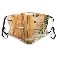 Fashion Comfortable Windproof mask,Facade of an Old Building Wooden Shutters Traditional House Summer Plants Nature,Printed Facial Decorations for Unisex M
