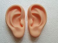 WellieSTR 1 Pair Ear Model Silicone Ear Acupuncture Practice Model Right and Left Teaching Resources modele Oreille for Medical Science