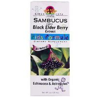 NATURE'S ANSWER AF SAMBUCUS KIDS FORMULA, 4 FZ