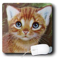 3dRose LLC 8 x 8 x 0.25 Inches Kitten and Flowers II Mouse Pad (mp_7770_1)