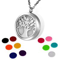 HOUSWEETY Aromatherapy Essential Oil Diffuser Necklace-Stainless Steel Locket Pendant,11 Refill Pads (Non-Engraving)