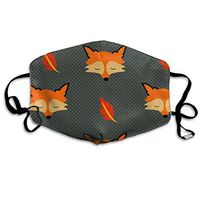 Fox Dust Mask,Washable and Reusable Cleaning Gardening Outdoor Activities Warm Windproof Mask