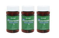 CAW Nano Cycloastragenol | 25Mg 30Enteric-Coated Capsules 3bottles(90caps in Total)