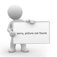 Wall Grab Bar Finish: Chrome, Size: 24"