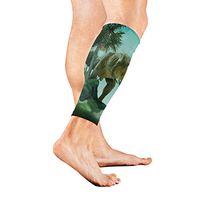 SLHFPX Leg Sleeve Giant Dinosaur Compression Socks Support Non Slip Calf Sleeves for Yoga, Running, Shin Splint, Calf Pain Relief, Runners, Medical, Air Travel, Nursing, Cycling 1Pair