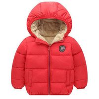 Kids Down Coat, Toddler Boys Girls Cotton Clothing Fleece Jacket Winter Outdoor Long Sleeve Warm Thick Hoodie Outwear (Red, 2-3 Years)