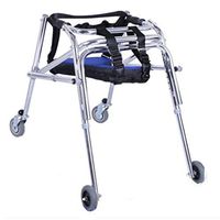 Standard Walkers Walker Accessible Elderly Children's Walker Light Weight Multifunctional Lower Limb Training Rehabilitation Care (Color : Silver, Size : 535270cm)
