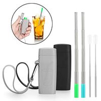 Vantic Portable Reusable Metal Straws- Telescopic Stainless Steel Travel Metal Straw with Carrying Case & Silicone Flex Tip, Cleaning Brush, 2 Pack(Black & Gray)