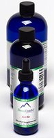 Garlic – Supports Blood Pressure, Circulation, Immune System and More – Alcohol-Free Liquid Extract (8 oz.)