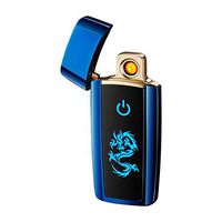 LINGAN USB Lighter Double Sides Rechargeable Windproof Flameless No Gas Coil Electronic Cigarette Lighter Fingerprint ID Lighter with USB Charging Cable for Men Women (Blue)
