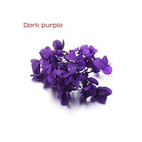 1 Box Dry Flower DIY Epoxy Resin Crafts Handmade Filling Materials Filler Dried Flowers Time Stone Jewelry Making Desk Decor,Plum