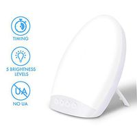 Light Therapy Lamp Electype Portable Therapy Light Natural Energy Lamp Timer Function UV-Free 10000 Lux Sun Light with Adjustable Brightness Levels LED Bright White Light