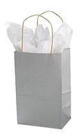 Small Metallic Silver Paper Shopping Bags 5 ¼”L x 3 ½”D x 8 ½”H Case of 100
