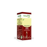 Giant Redwood - Herbal Gem