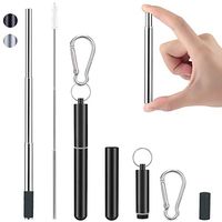 Portable Reusable Drinking Straws - Telescopic Stainless Steel Metal Straw with Aluminum Case & Cleaning Brush (Black)