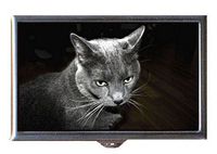 Cat Grey Elegant Gorgeous Photograph Decorative Pill Box