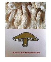 Bamboo Fungus Mushroom Dried 2500 Gram