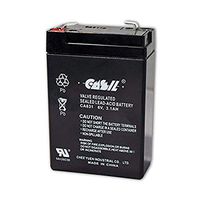 Honeywell Casil Genuine CA631 6V 3.1Ah SLA Battery for 7845GSM-K14139