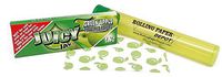 Juicy Jay's 1 1/4 Rolling Papers - Green Apple Flavored - 1 Pack with RPD Kewltube