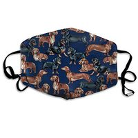 Dachshunds Navy Dust Mask,Washable and Reusable Cleaning Gardening Outdoor Activities Warm Windproof Mask