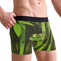 WXLIFE Cute Frog on Jungle Bamboo Boxer Briefs Men's Underwear for Men Boy