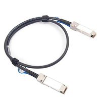 CHELSIO COMMUNICATIONS QTAPCABLE28-1M Twinax 100Gb Passive Cable - 1-Meter