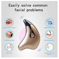 Whale Electric Vibration Beauty Board(Random Color)