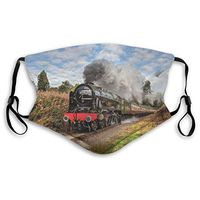 Nose Mouth Cover Train Art Anti Dust Reusable Face Covers