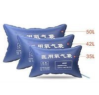 YBZS Emergency Oxygen Bag,1Pcs 42L Large Capacity/Family Elderly Pregnant Women Oxygen/Outdoor Emergency Oxygen Bag/Portable Oxygen Bag,42l