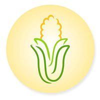 New Metro JO-CC Country Corn Silicone Jar Opener, 6-Inch