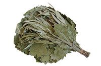 RuPost 3 pcs x Premium Eco Canadian Oak with Eucalyptus Broom for Bath and Sauna, Organic Aroma Canadian Oak with Eucalyptus Broom, Fresh Collection, Russian Broom