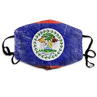 Belize Flag Dust Mask,Washable and Reusable Cleaning Gardening Outdoor Activities Warm Windproof Mask