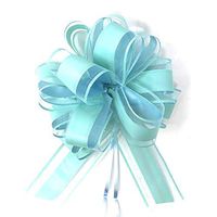 Allgala 12-pc 6" Large Everyday Pull Bows-Turquoise-GP92012