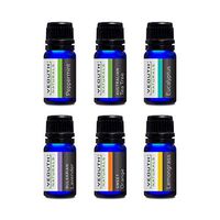 YEOUTH Pure Essential Oils for Aromatherapy - Best Set of 6 - Australian Tea Tree Oil, Peppermint Oil, Eucalyptus Oil, Lavender Oil, Sweet Orange Oil, Lemongrass Oil use w/Aroma Diffuser - Six 10ML
