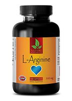 Testosterone Booster Supplement - L-ARGININE 500mg - L-arginine Bulk Supplements - 1 Bottle 100 Capsules