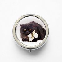 RhyNSky Animal Black Cat Mini Portable Pocket Pill Box Case Holder for Purse, 3 Compartments, Silvery, FS101