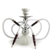 GSTAR 11" Premium 2 Hose Hookah Complete Set - Mini Pumpkin Hookah Glass Vase - Pick Your Color (Snow White)
