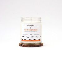 Mint Nectarine 9oz. Soy Wax Candle