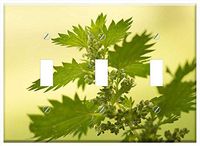 Switch Plate Triple Toggle - Stinging Nettle Urtica Urticaceae Nettle Leaf