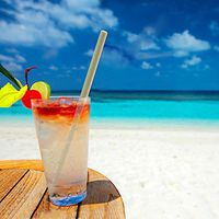 Autone Bamboo Drinking Straws. Reusable Bamboos Straws Alternative to Plastic Kids Straws. Includes 10 Natural Bamboo Drinking Straws Easy Storage.