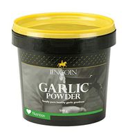 Garlic Powder - 500g