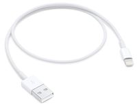 Apple Lightning to USB Cable (0.5 m)
