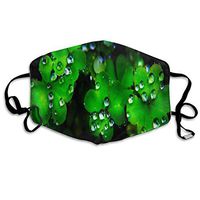 Face Mask St. Patrick's Day Luck Shamrock Great Cycling Half Face Earloop Dust Mask for Men