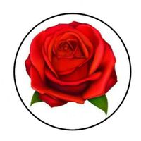 HotSaleStore Sticker Seals 48 Big RED Rose Envelope Seals Labels Stickers 1.2" Round