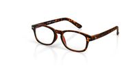 Blueberry Computer Glasses S - Brown - Clear Lenses- (Chestnut,Clear)
