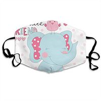 228 Elephants and Birds Dust Mouth Adjustable Ear Loops Face Mask for Kids Teens Men Women