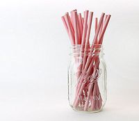 Pastel Pink Biodegradable Paper Straws | 25 pieces