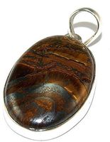 Sterling Silver Tigers Iron Pendant Jewellery PEND447